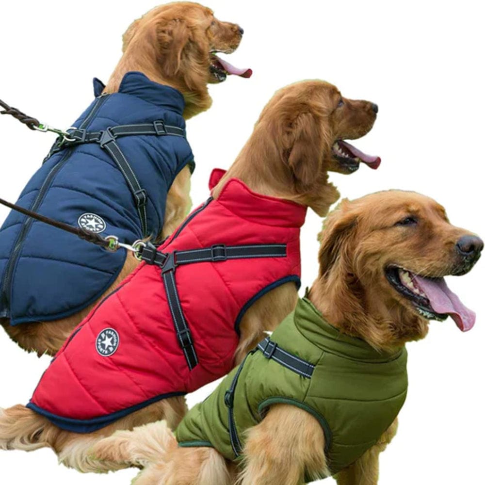 Multiple dogs showcasing different colors of the Dogegis waterproof winter dog jacket