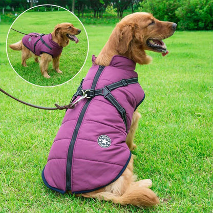 A dog outdoors wearing the burgundy Dogegis winter jacket with reflective safety straps