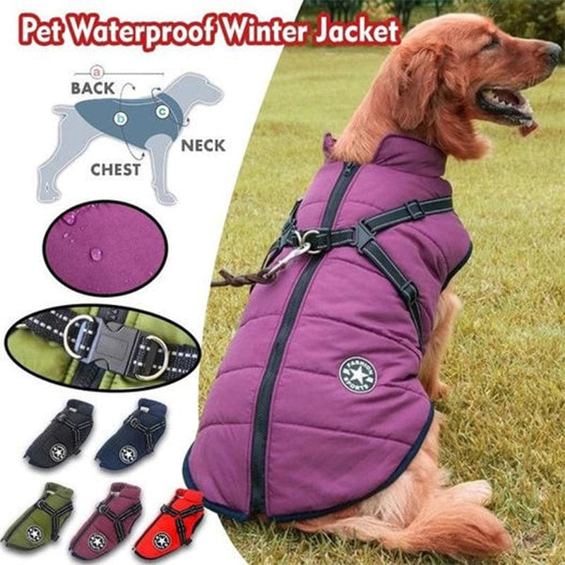 Size chart and color collection guide for the Dogegis waterproof winter dog jacket