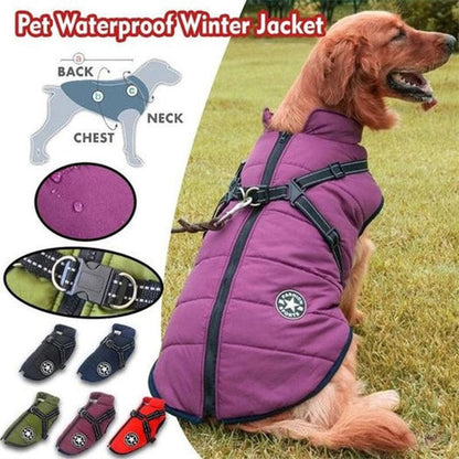 Size chart and color collection guide for the Dogegis waterproof winter dog jacket